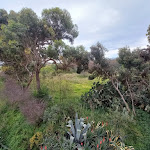 Photo n°2 de l'avis de Guglielmo.u fait le 23/03/2022 à 05:38 sur le  Hotel Villa D'Amato à Palermo