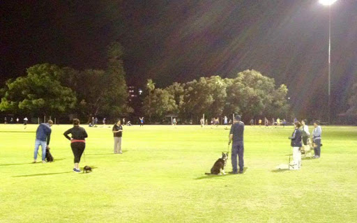 Perth Training and Obedience Dog Club