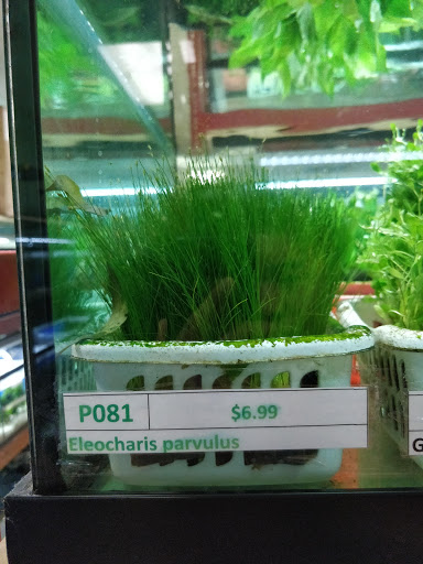 Pet Store «All Pet Center», reviews and photos, 1950 S Atlantic Blvd, Monterey Park, CA 91754, USA