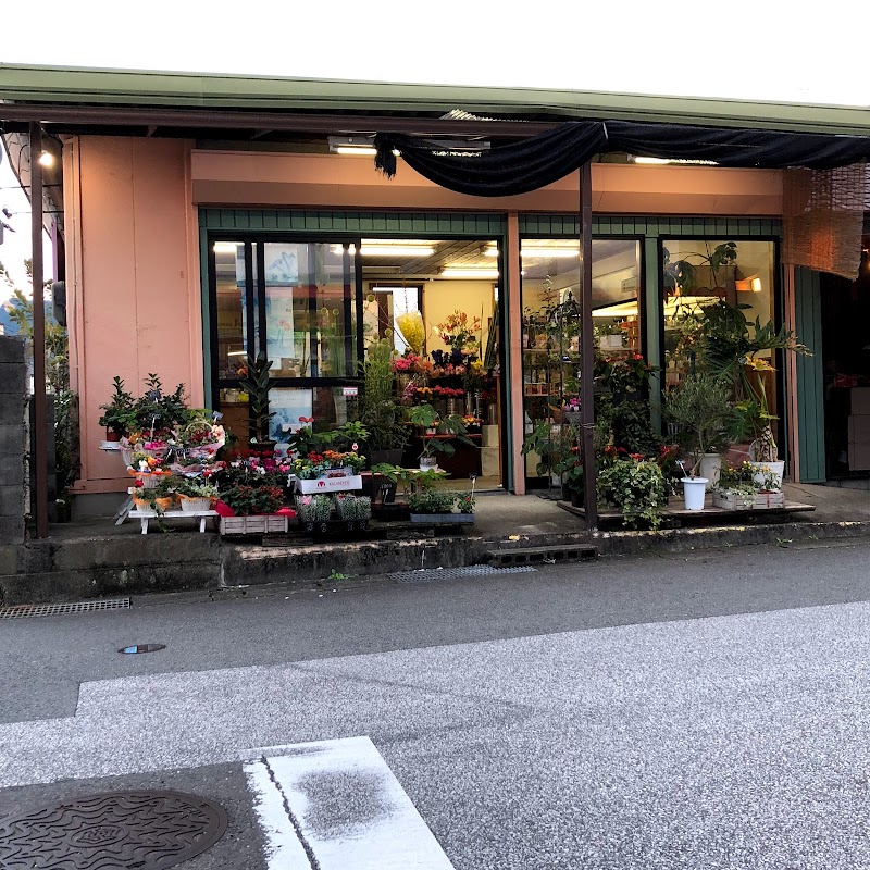 フラワーショップみやじ 高知県高知市神田 花屋 花 グルコミ