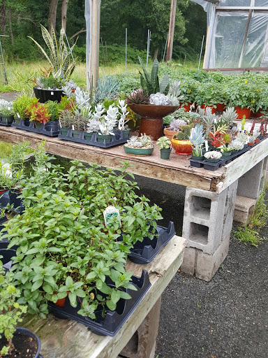 Florist «Hanover Floral Company», reviews and photos, 61 Ridgedale Ave, East Hanover, NJ 07936, USA