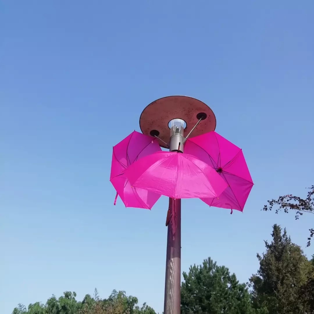 Photo n° 5 de l'avis de Rosy.e fait le 16/06/2019 à 14:51