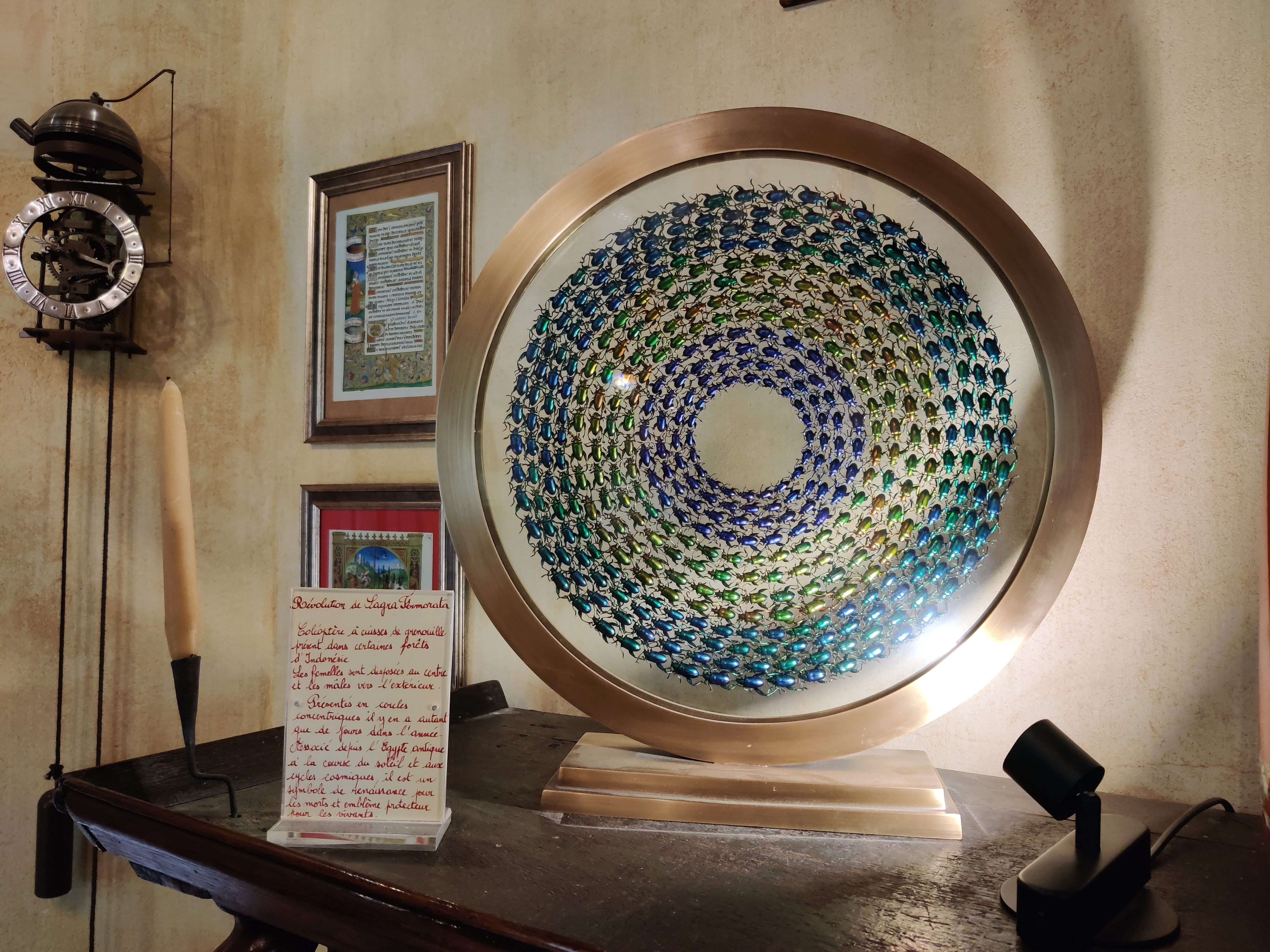 Photo n° 4 de l'avis de Robin.a fait le 31/08/2021 à 16:51