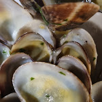 Photo n°2 de l'avis de Manuel.. fait le 06/10/2022 à 10:46 sur le  Ghostbuster ristorante pizzeria à Castiglioncello