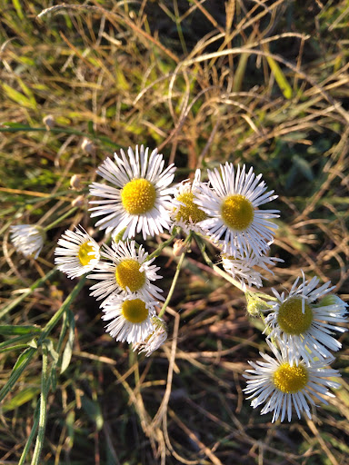 Banquet Hall «Quail Ridge Lodge», reviews and photos, 24 Columbine Ln, Wentzville, MO 63385, USA