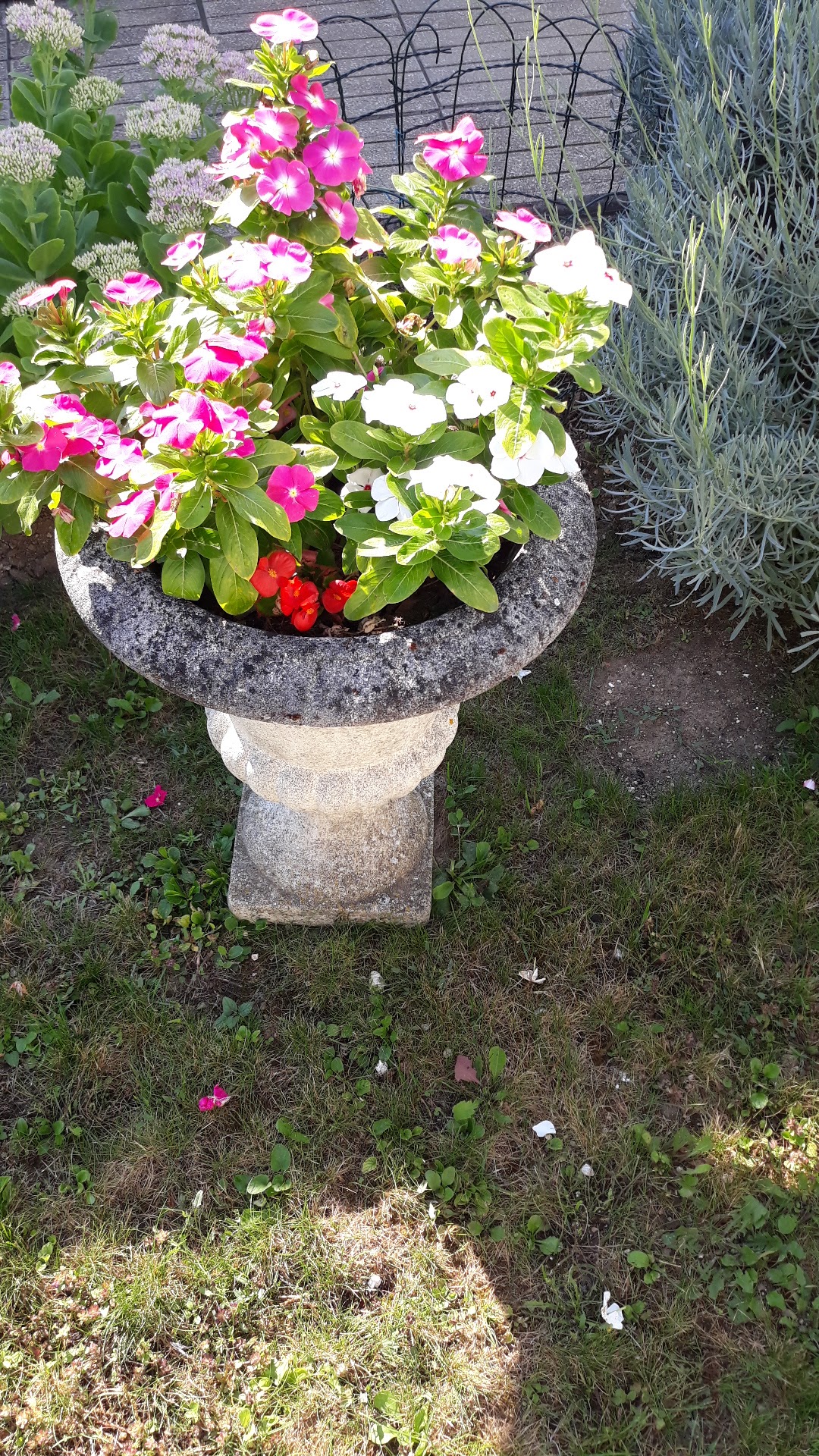 Photo n° 2 de l'avis de Gabrielle.l fait le 26/08/2019 à 08:31