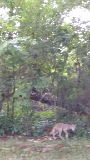 Golf Club «Alling Memorial Golf Course», reviews and photos, 35 Eastern St, New Haven, CT 06513, USA