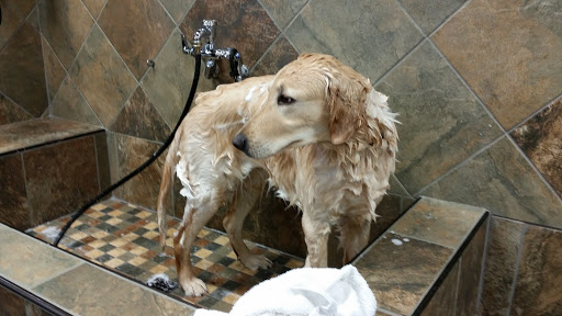 Pet Supply Store «Pet Valu», reviews and photos, 3437 Center Rd, Brunswick, OH 44212, USA