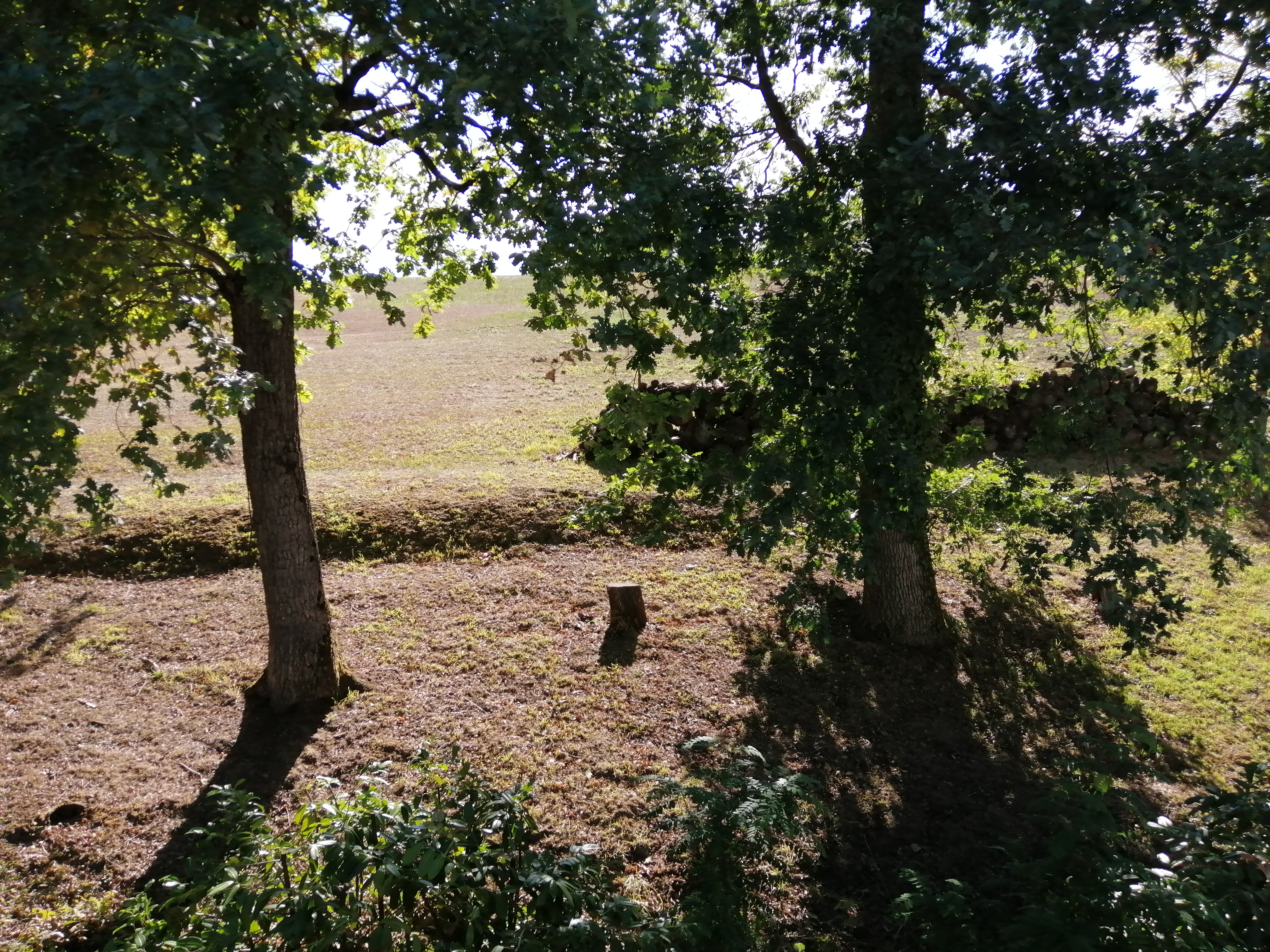Photo n° 4 de l'avis de Claude-Françoise.u fait le 04/10/2022 à 18:24