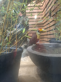 Newark Movers - Photo 2 - Car repair in Newark, NJ, Newark