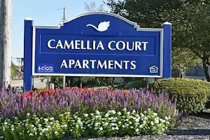 Camellia Court image