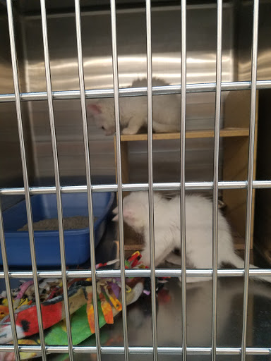 Pet Supply Store «PetSmart», reviews and photos, 10329 S State St, Sandy, UT 84070, USA