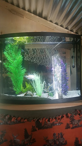 Pet Supply Store «Pet Supplies Plus», reviews and photos, 4808 Ridge Rd, Brooklyn, OH 44144, USA