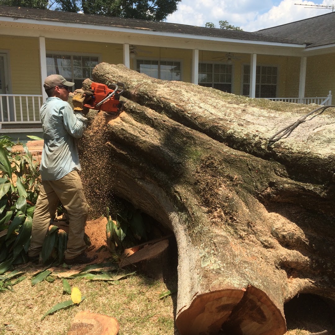 Borskey Tree Service