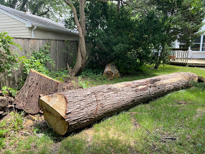 Hancock Tree Removal Service
