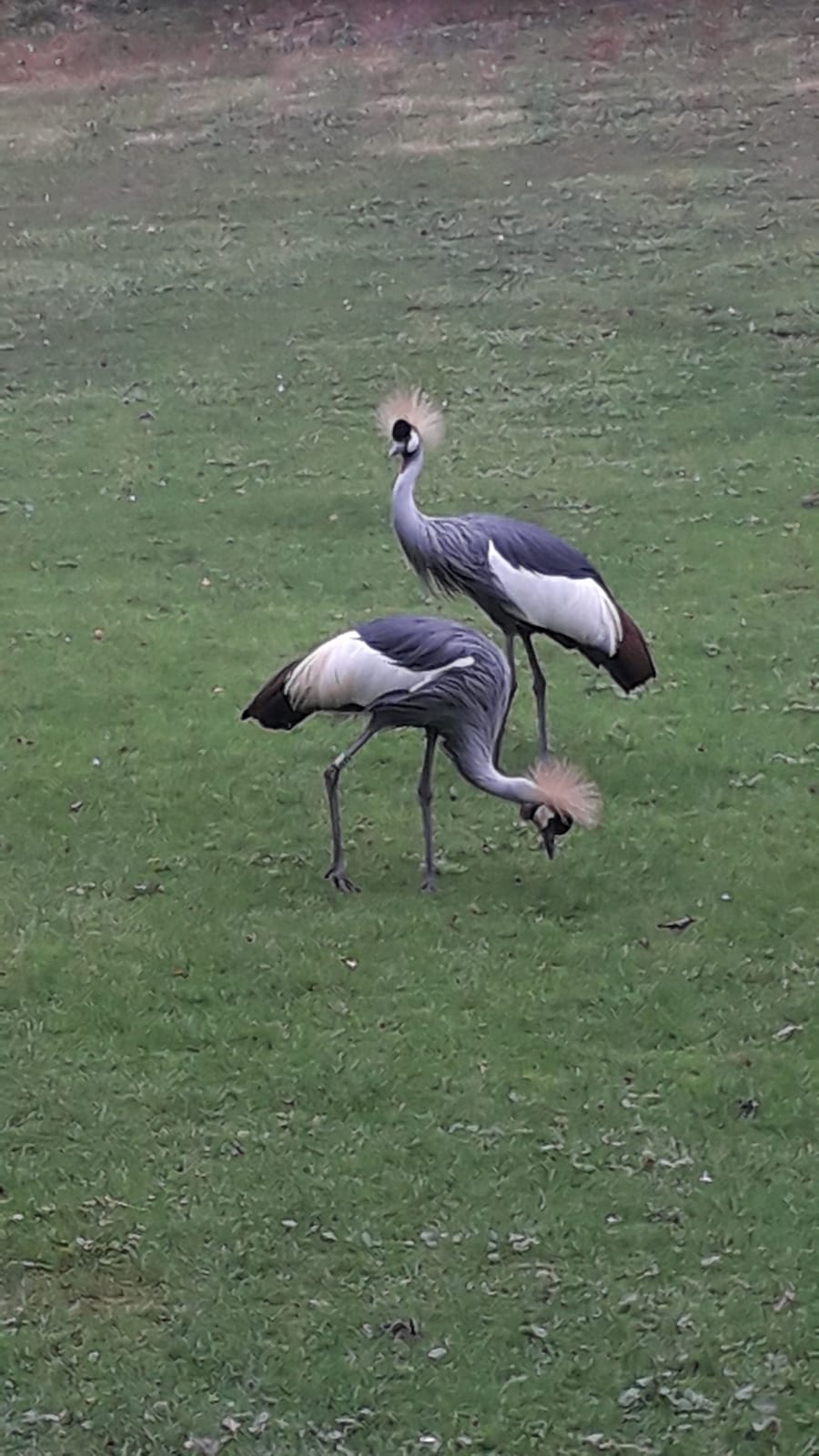 Photo n° 48 de l'avis de lilou.i fait le 19/09/2020 à 16:48