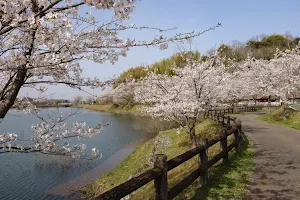 Tenkei Park image