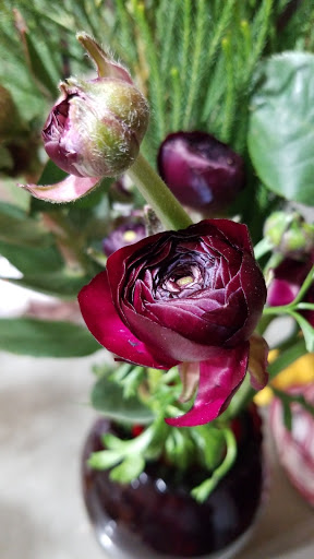 Florist «Green Cottage», reviews and photos, 1204 NY-213, High Falls, NY 12440, USA