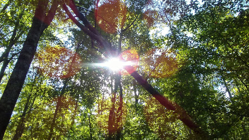 National Park «Cumberland Gap National Historical Park», reviews and photos, 91 Bartlett Park Road, Middlesboro, KY 40965, USA