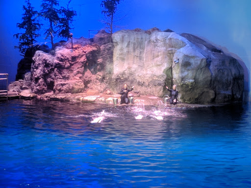 Aquarium «Shedd Aquarium», reviews and photos, 1200 S Lake Shore Dr, Chicago, IL 60605, USA