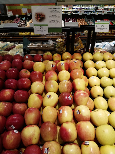 Supermarket «Publix Super Market at Summertree Plaza», reviews and photos, 32765 Eiland Blvd, Zephyrhills, FL 33541, USA