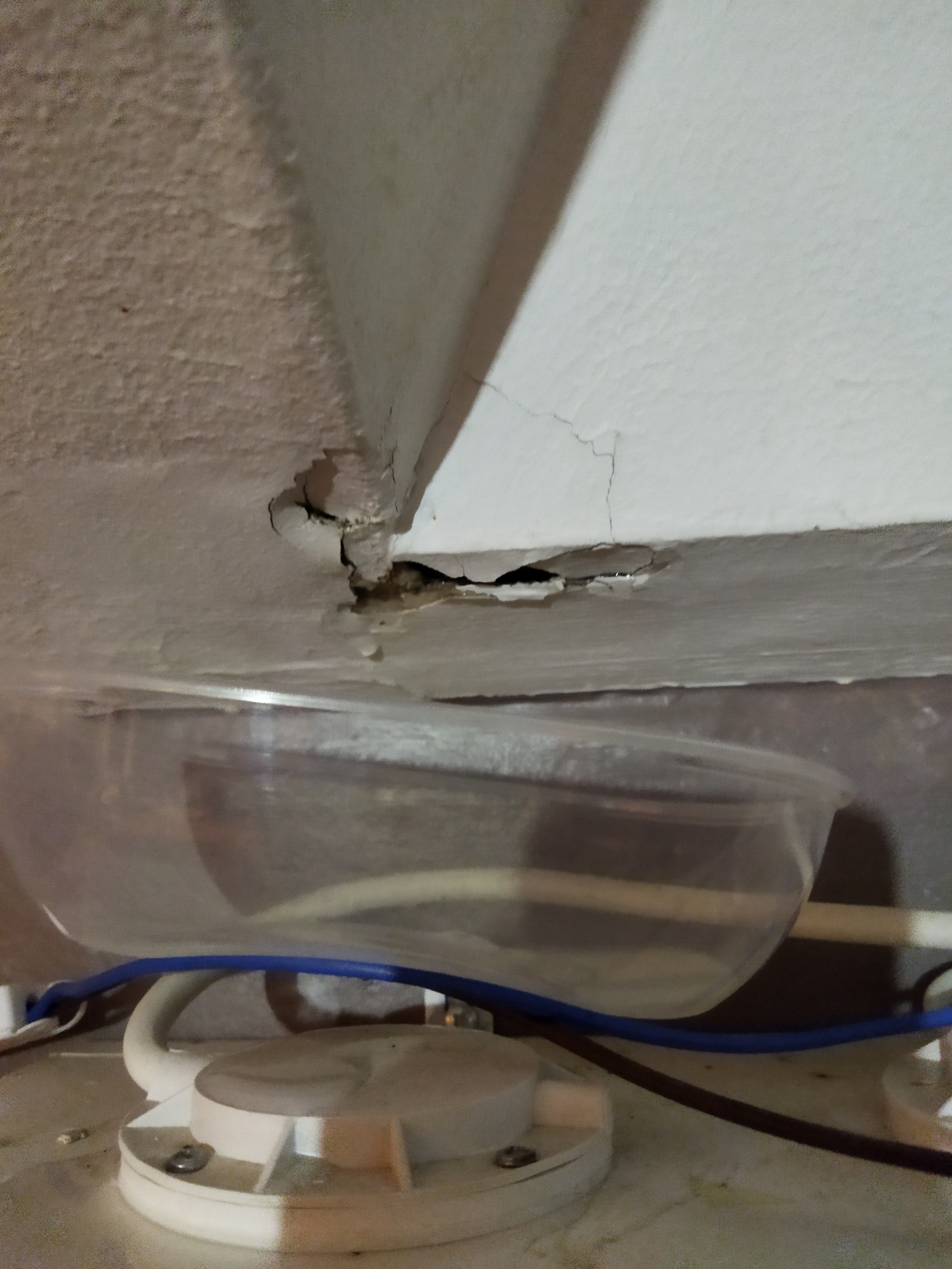 Photo n° 8 de l'avis de timanou76. fait le 01/11/2022 à 19:15