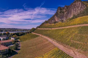 Weingut Pieper - Vinothek & Hotel am Drachenfels image