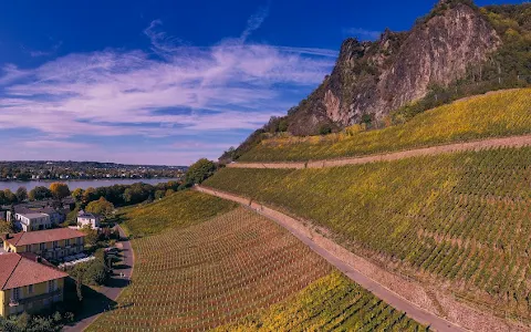 Weingut Pieper - Vinothek & Hotel am Drachenfels image