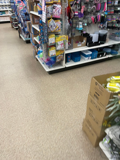 Dollar Store «Dollar Tree», reviews and photos, 14158 NE Woodinville Duvall Rd, Woodinville, WA 98072, USA