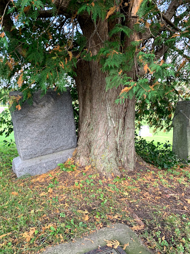 Mosque «Medina Community Center», reviews and photos, 3200 Mill St, Hamel, MN 55340, USA