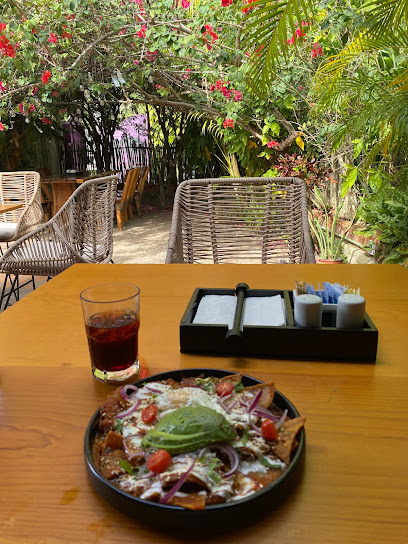 Cafe de Isla - 15 avenida con, Calle 10 Nte #299, Centro, 77600 San Miguel de Cozumel, Q.R., Mexico