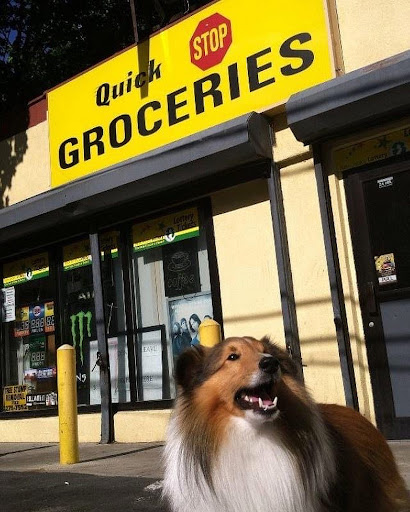 Convenience Store «Quick Stop», reviews and photos, 58 Leonard Ave, Leonardo, NJ 07737, USA