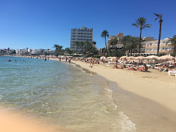 Platja de ses Figueretes'in fotoğrafı - rahatlamayı sevenler arasında popüler bir yer