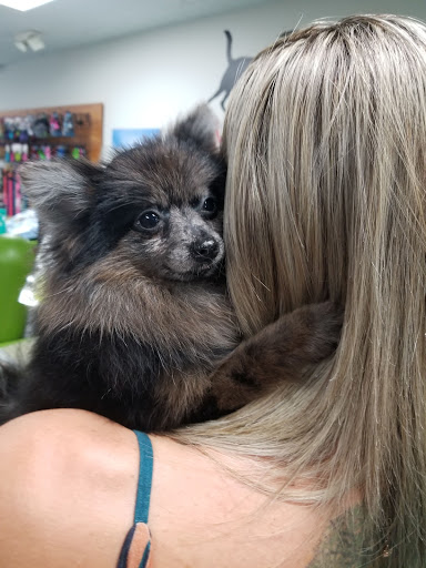  «Animal Crackers», reviews and photos, 280 NE 2nd St, Miami, FL 33132, USA