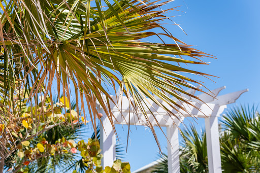 Real Estate Agency «Franke Realty Inc», reviews and photos, 8605 Padre Blvd, South Padre Island, TX 78597, USA