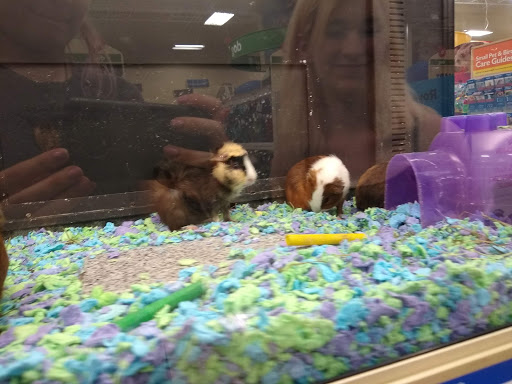 Pet Supply Store «PetSmart», reviews and photos, 9970 Sowder Village Square, Manassas, VA 20109, USA