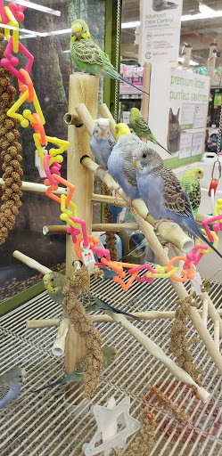 Pet Supply Store «Petco Animal Supplies», reviews and photos, 891 NE D St, Grants Pass, OR 97526, USA