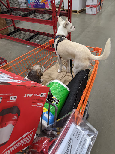 Home Improvement Store «The Home Depot», reviews and photos, 2994 Cranberry Hwy, East Wareham, MA 02538, USA