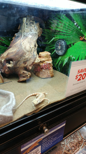 Pet Store «PetSmart», reviews and photos, 2891 Ygnacio Valley Rd, Walnut Creek, CA 94598, USA