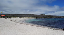 Playa Loberia'in fotoğrafı doğal alan içinde bulunmaktadır