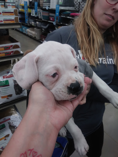 Pet Supply Store «Petco Animal Supplies», reviews and photos, 28400 Dequindre Rd, Warren, MI 48092, USA