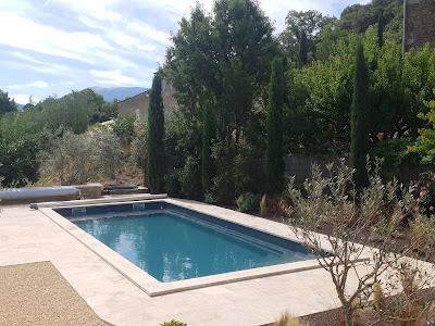 NPSP PISCINES SERVICES à Saint-Romain-en-Viennois