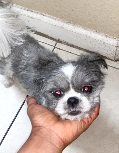 Pet Supply Store «PetSmart», reviews and photos, 300 N Congress Ave, Lake Park, FL 33403, USA