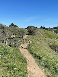 Rivendell Bicycle Works - Photo 9 - Car repair in Walnut Creek, CA, Concord