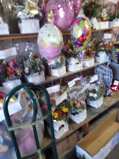 Florist «Axelrod Flowers», reviews and photos, 4429 Whitaker Ave, Philadelphia, PA 19120, USA
