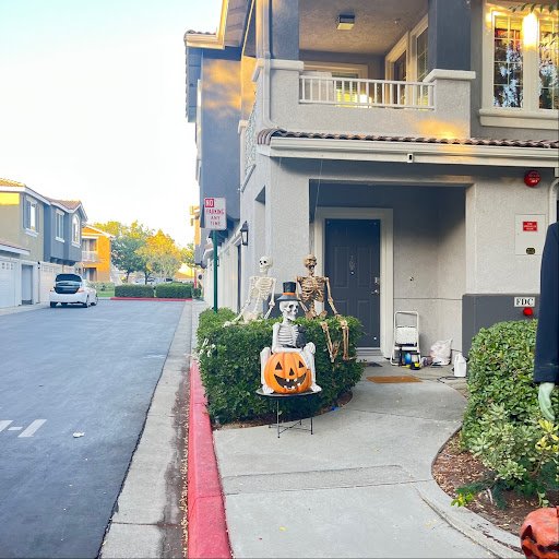 Homecoming at Terra Vista image