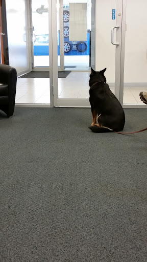 Honda Dealer «The Honda Store», reviews and photos, 500 Old Union Turnpike, Lancaster, MA 01523, USA