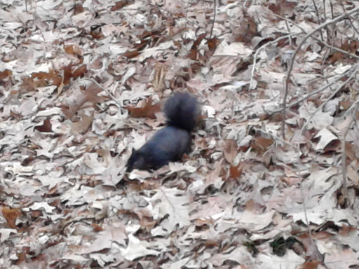 Park «Bronx River Park», reviews and photos, 2 Bronx River Pkwy, Scarsdale, NY 10583, USA