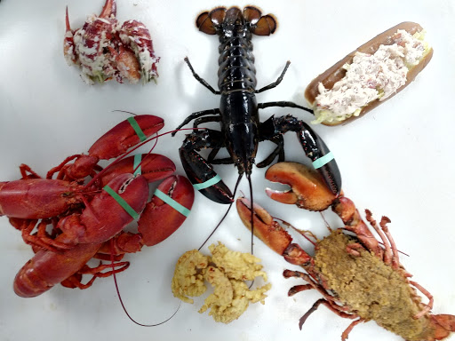 Seafood Market «Seawitch Lobster Co & Fish Market», reviews and photos, 203 Newbury St, Peabody, MA 01960, USA