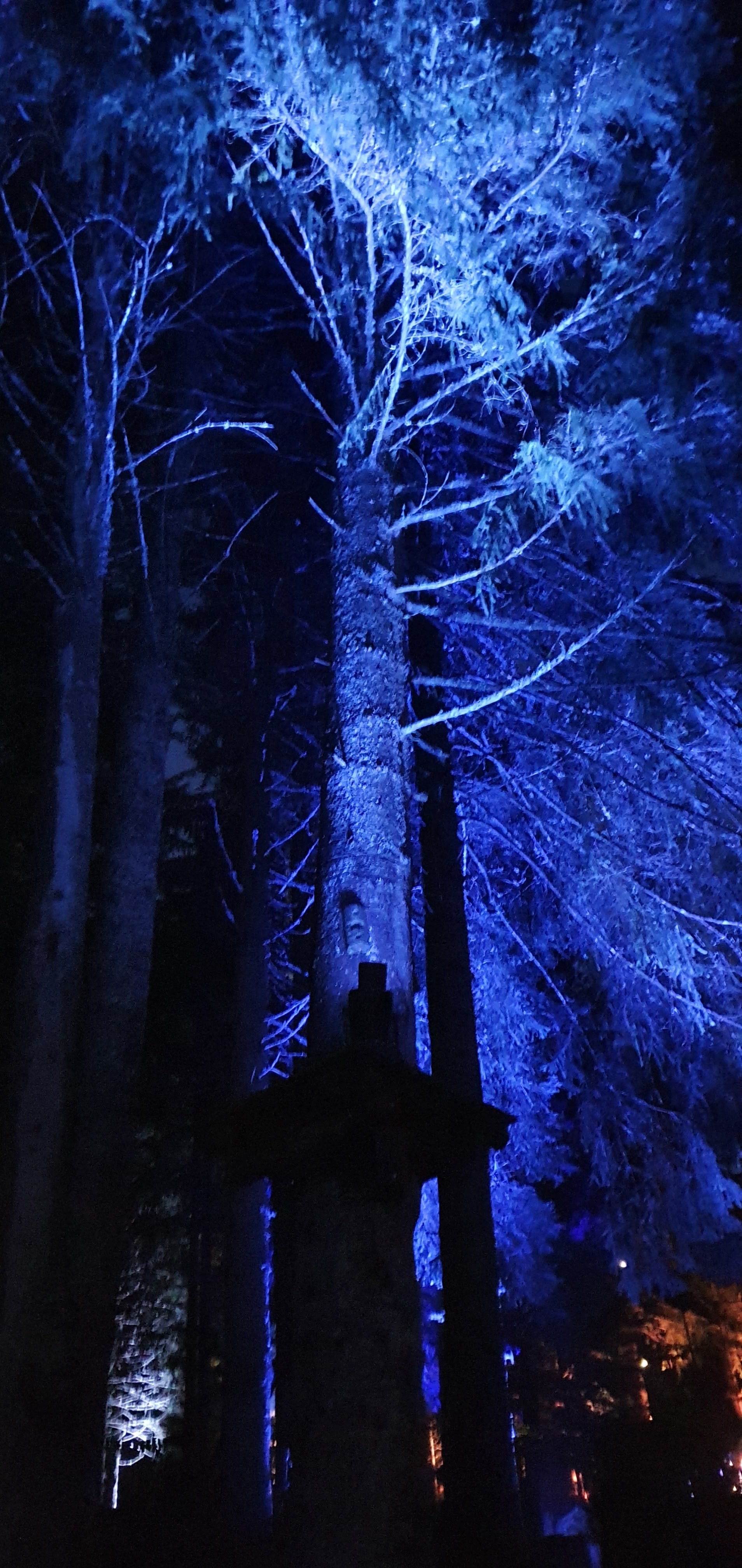 Photo n° 4 de l'avis de Hélène.. fait le 24/10/2020 à 19:10